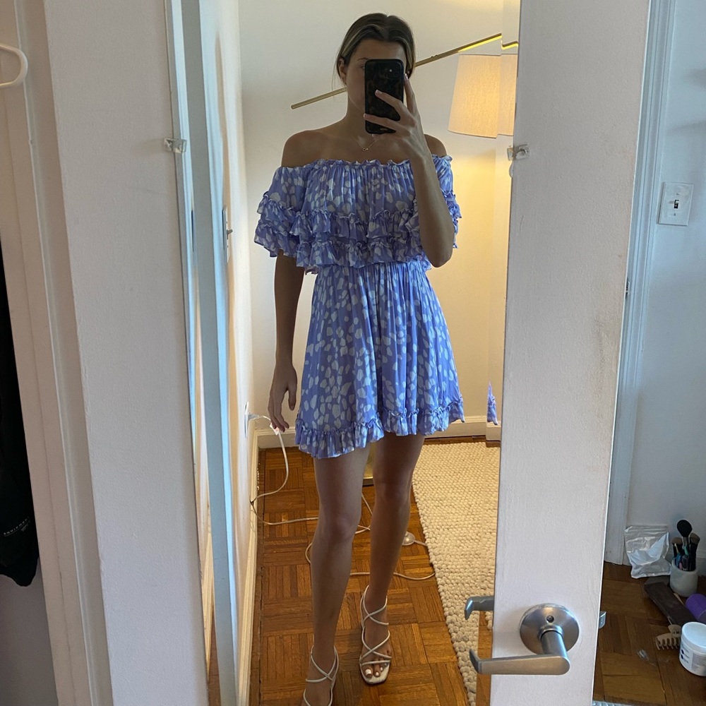 Impeccable Pig | Purple Dress | Size Medium